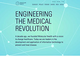 Molecular Health Website (2015) screenshot